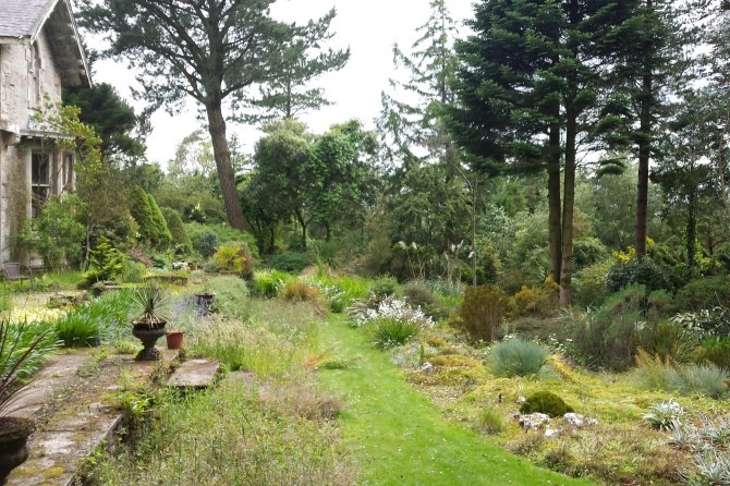 DAO Newsletter, grüner Garten in Schottland